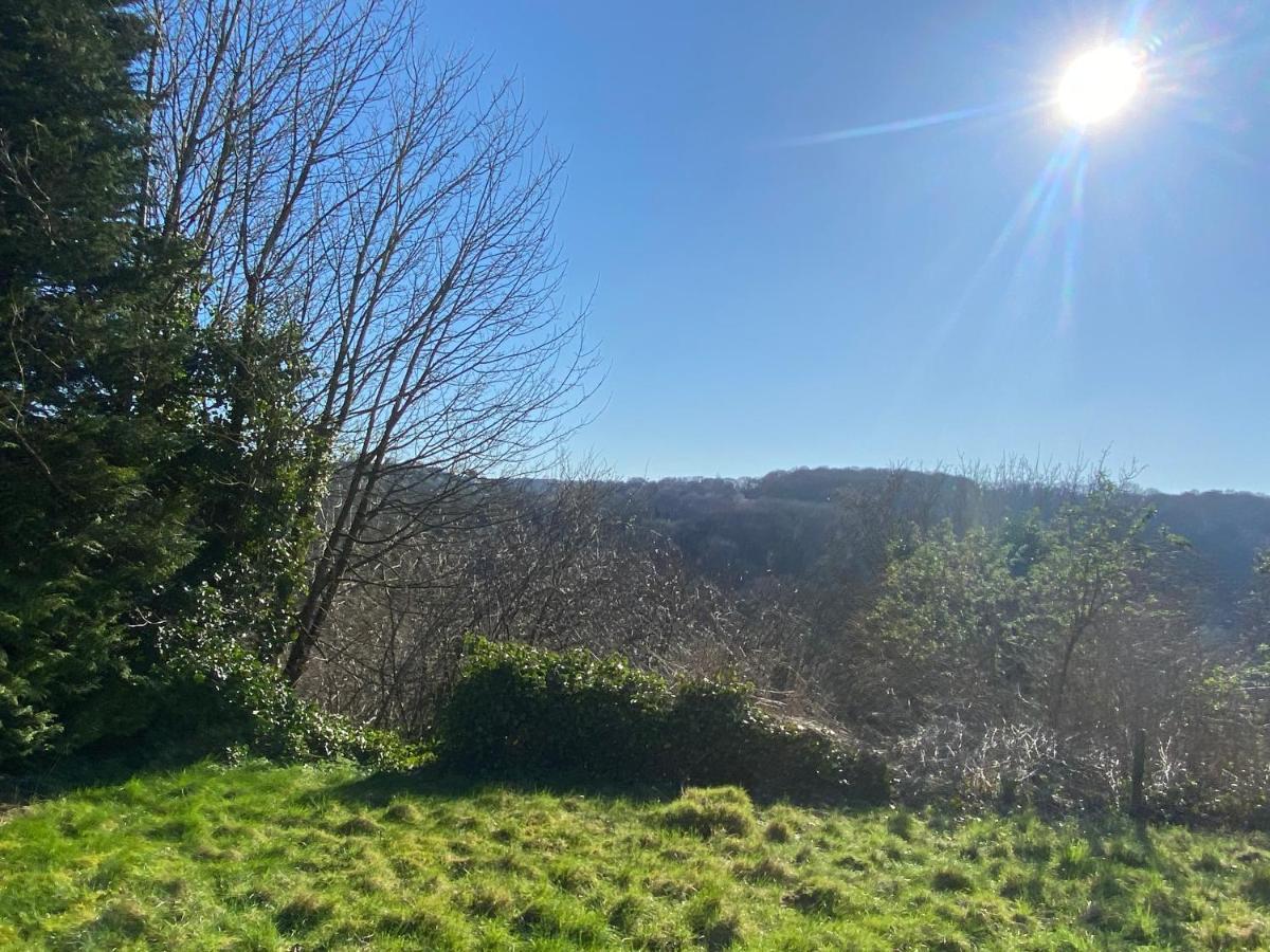 Hodge Bower Holidays, Ironbridge - Blakemore 外观 照片